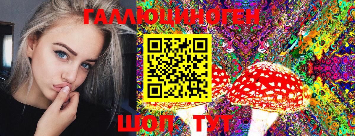 Галлюциногенные грибы Psilocybe  Вход с VPN  Полевской  Галлюциногенные грибы GOLDEN TEACHER 